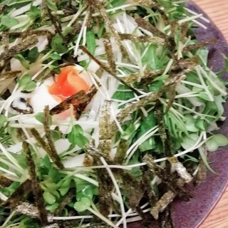 大根と水菜のシャキシャキ野菜サラダ